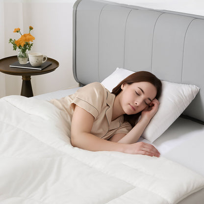 Silk Pillowcase PureMulberry Silk Pillow Case 26 X 20 In Standard